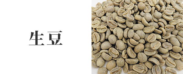 生豆